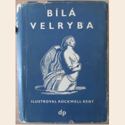 Bílá velryba